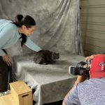 Woman in green sweater is posing black cat on photo backdrop with photographer shooting in foreground