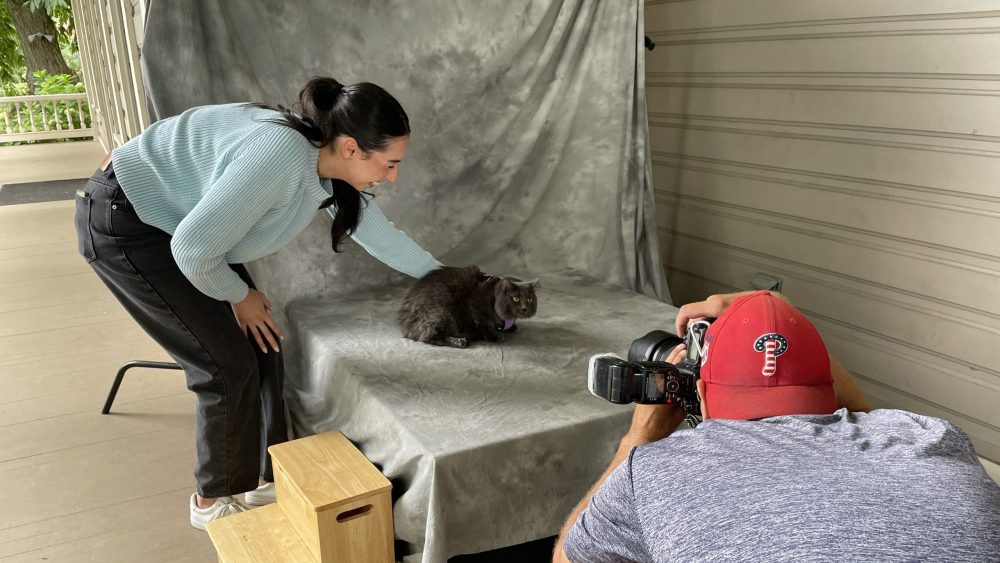 Woman in green sweater is posing black cat on photo backdrop with photographer shooting in foreground